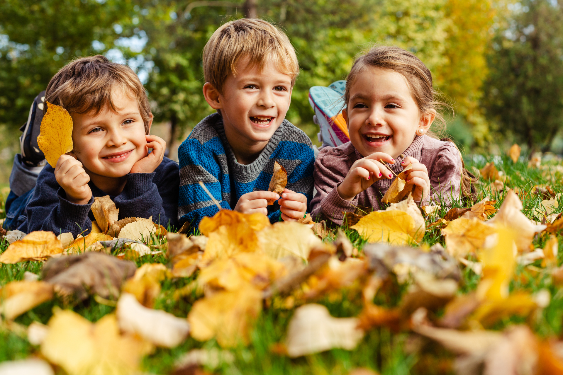 Zauberhafte Herbstauszeit