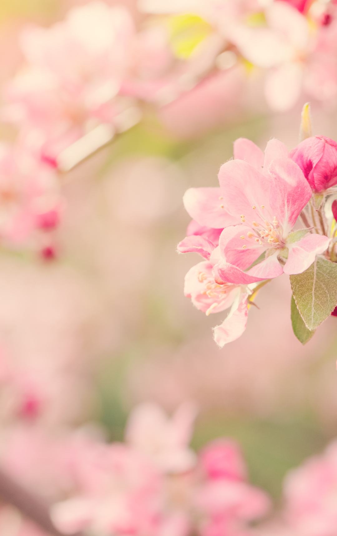 Last-Minute Frühlingsauszeit
