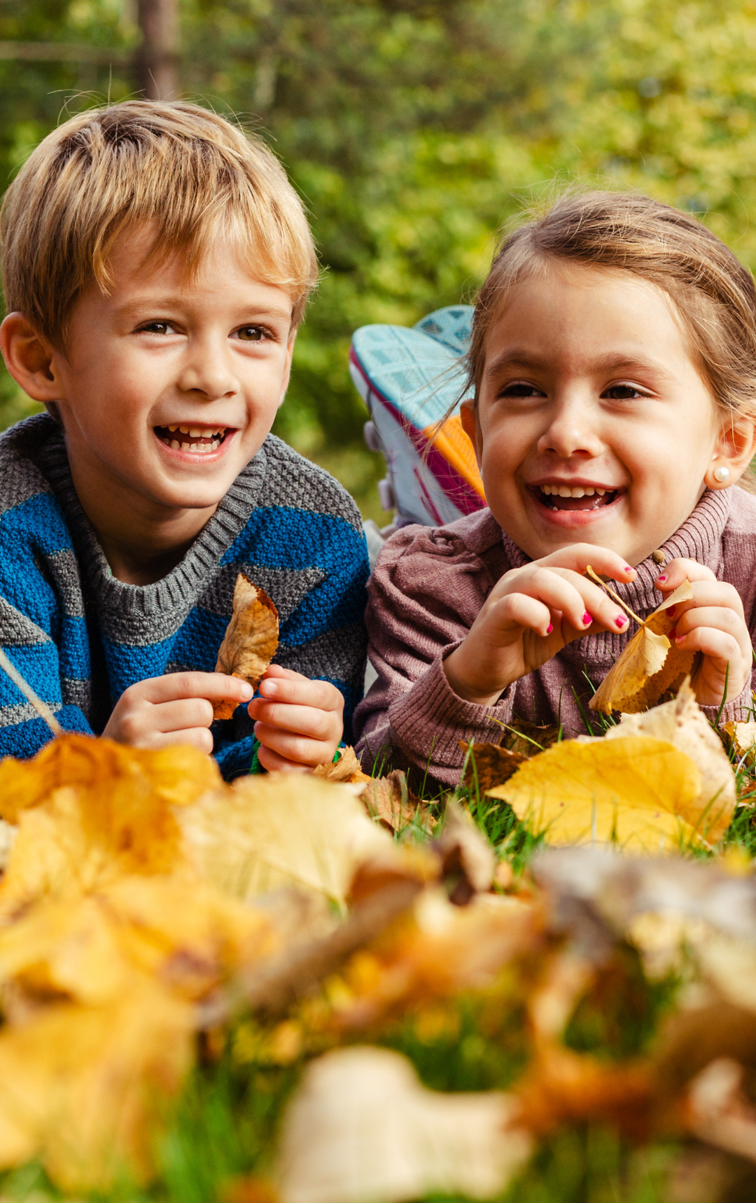 Zauberhafte Herbstauszeit